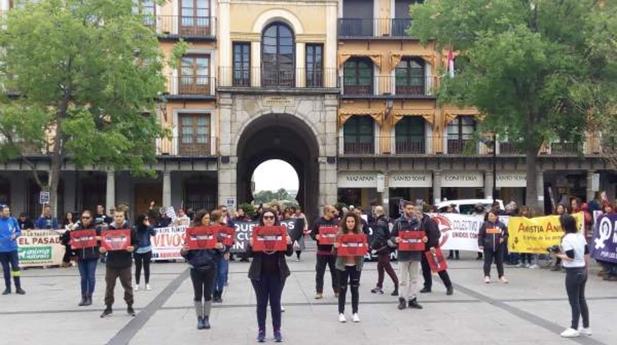 Los manifestantes, en Zocodover