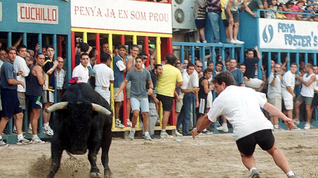 Imagen de archivo de uno de los encierros de los festejos taurinos en la Comunidad Valenciana