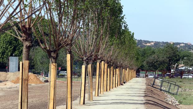 Visita a las obras de la nueva senda peatonal de la Vega Baja