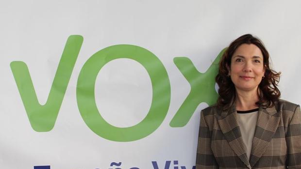Vox defiende que los cabildos de Canarias traten directamente con el Estado