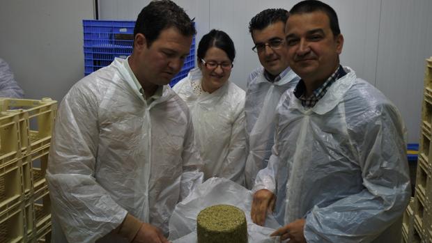 Más de diez queserías de la DO Queso Manchego participarán en Expovicaman