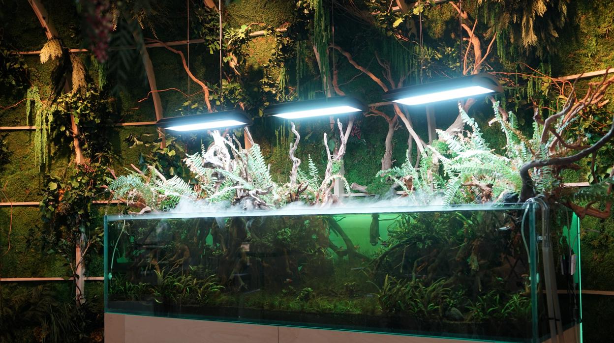 El acuario con el paisaje acuático del Amazonas