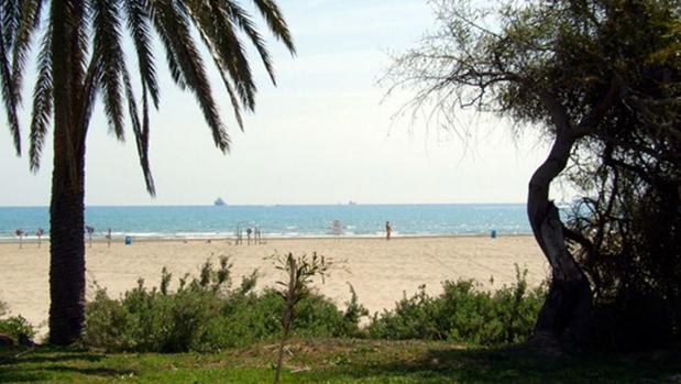 Falsa alarma: un alga provoca una mancha kilométrica de «petróleo» en la playa