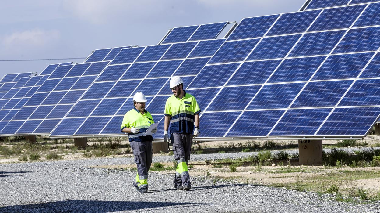 Huerto Solar