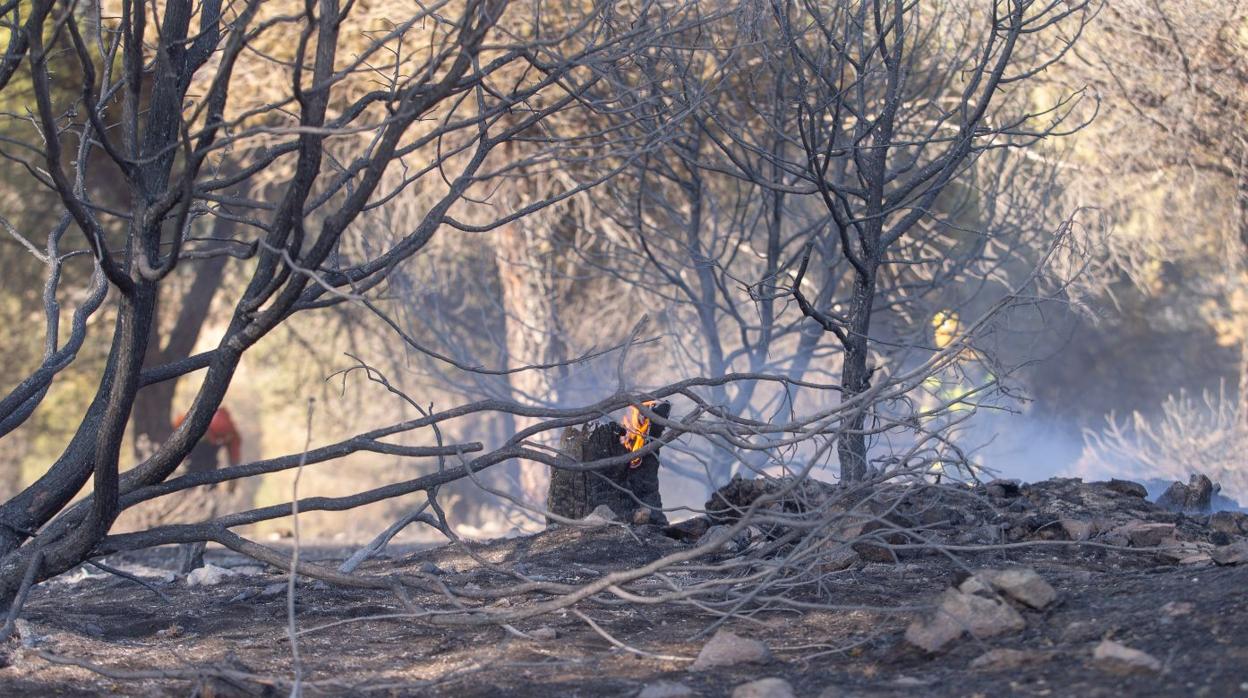 Una imprudencia, posible causa del incendio de Hoyo de Pinares