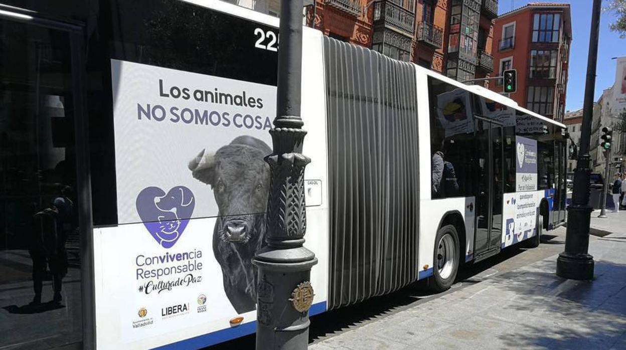 Puente retira de los autobuses de Valladolid la campaña de los animalistas