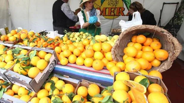 Cuando Canarias exportaba sus envidiadas naranjas