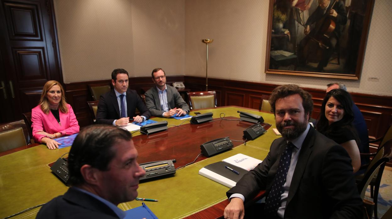 Beltrán, García Egea y Maroto, del PP, frente a Fernández, Espinosa de los Monteros y Olona, de Vox