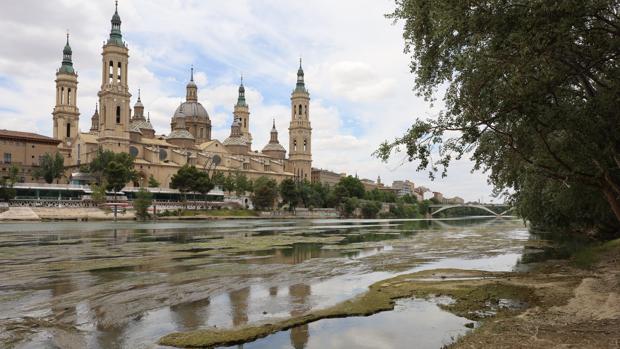 El Ebro sufre un estiaje prematuro que deja a la vista un gran lecho de algas en Zaragoza