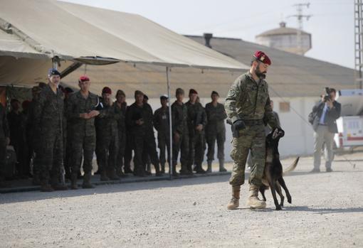 El Rey observa el ejercicio militar en Bétera, realizado este jueves