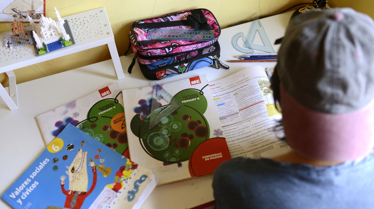 Un alumno estudia con los libros de texto de Secundaria