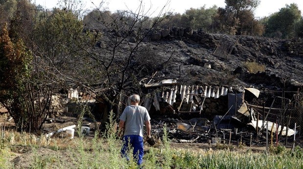 El plan de reforestación de la zona afectada tras el incendio de Cadalso comenzará en dos semanas