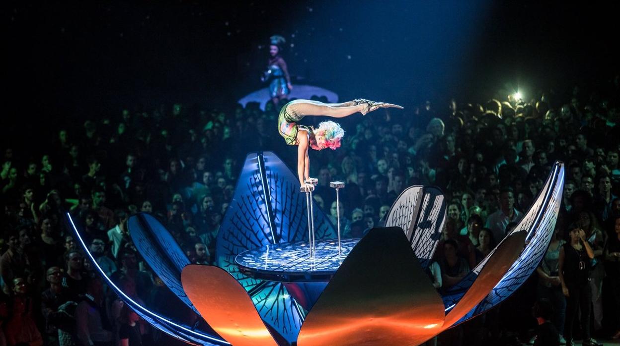 Las proezas acrobáticas de Cirque du Soleil se mudan a Canarias