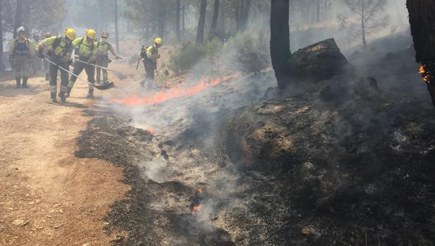 Extinguido el incendio en el Valle del Tiétar tras arrasar 1.400 hectáreas