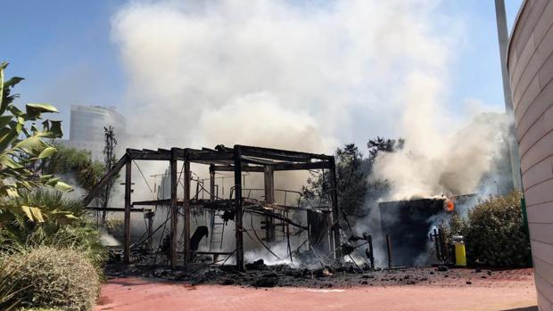 El Oceanogràfic de Valencia recupera la normalidad tras el incendio y abre este miércoles