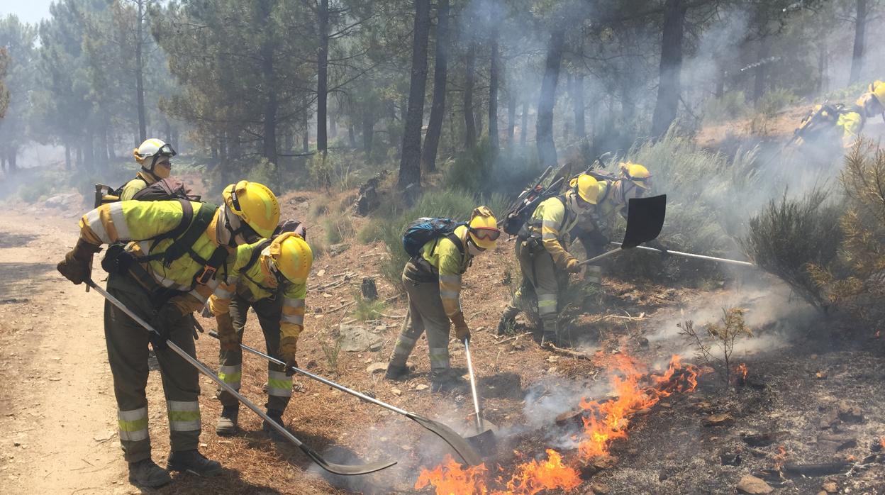 Llamadas a declarar cinco personas por el incendio de El Arenal (Ávila)