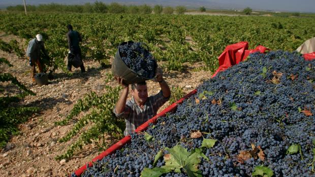 Una destilería de Cariñena logra producir electricidad a partir del vino