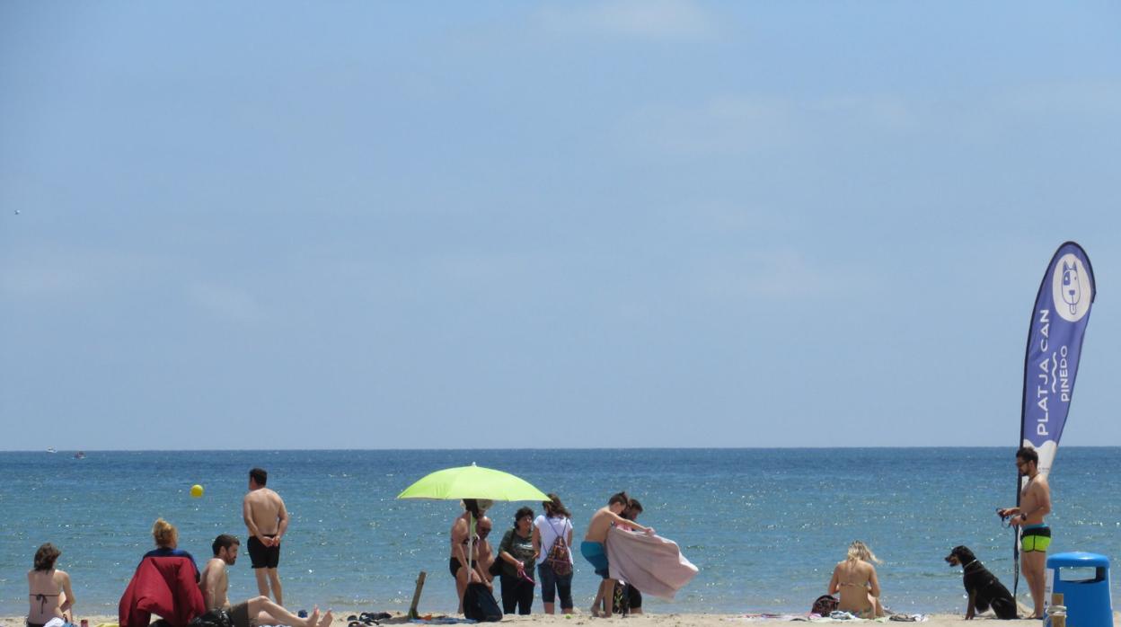 Imagen de la playa de perros de Pinedo