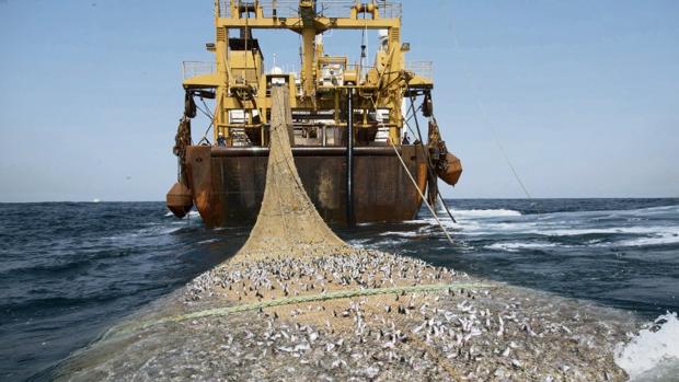 Así queda Canarias en el acuerdo de pesca UE-Rabat