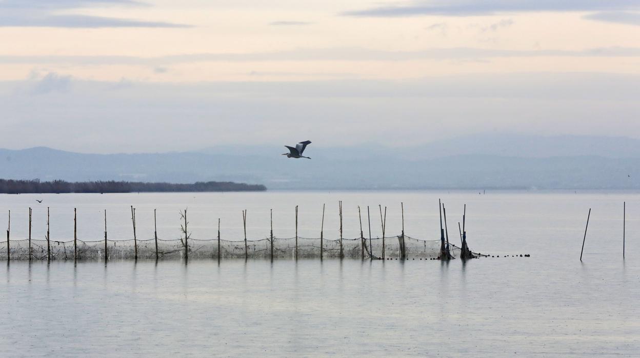 Imagen de archivo del Parque Natural de la Albufera en Valencia