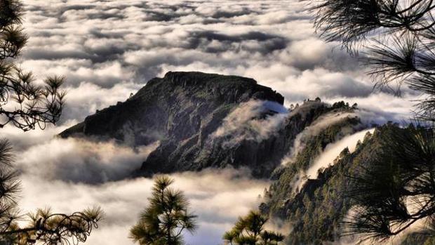 Los secretos del paisaje de Gran Canaria pasto de las llamas