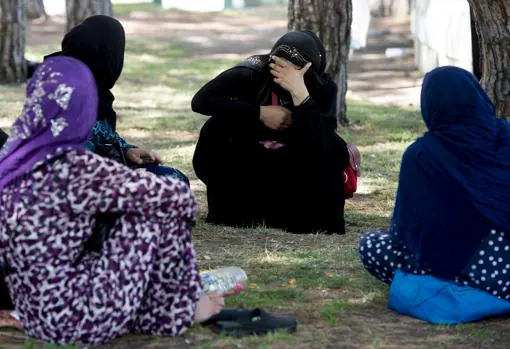 Las refugiadas sirias charlan cobijadas bajo las sombras de los árboles