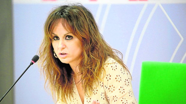 El PSOE pide ampliar los motivos para detener a procuradores y consejeros