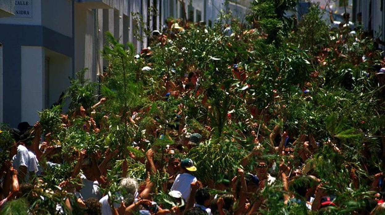 La absurda historia sobre La Rama en Canarias: no es una fiesta prehispánica