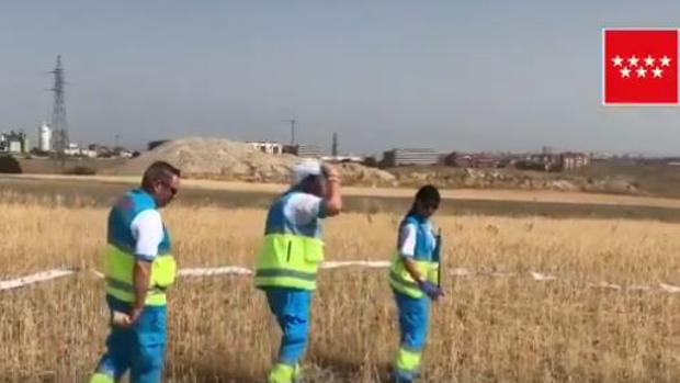 La mujer fallecida en una zona de campo de Getafe murió por causas naturales