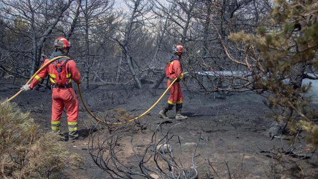 Voluntarios se organizan para limpiar zonas afectadas por el incendio de La Granja