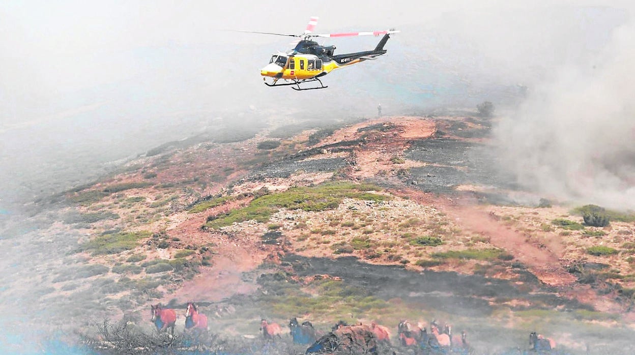 Imágenes del incendio en la que un piloto salva 27 caballos