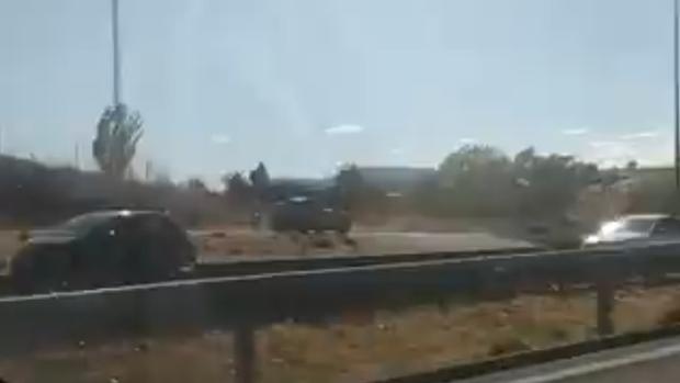 Así circula un coche por un carril-bici tras saltarse un control de la Guardia Civil