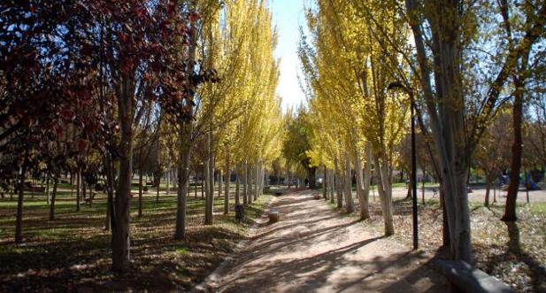 La UTE de parques de Toledo sigue sin pagar a sus trabajadores