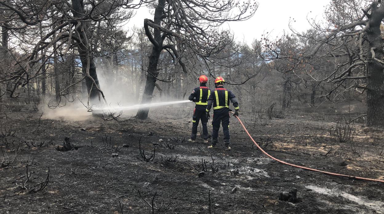 Dos bomberos trabajan en una zona arrasada por el fuego en Madrid este mes de agosto