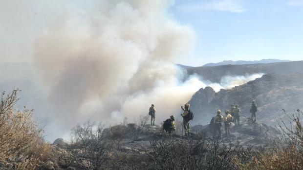 Cifran en 180 las hectáreas arrasadas por el incendio de Navalacruz (Ávila)