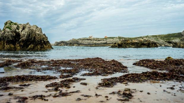 Fallece un vallisoletano de 52 años en la playa de Amio, en Pechón (Cantabria)