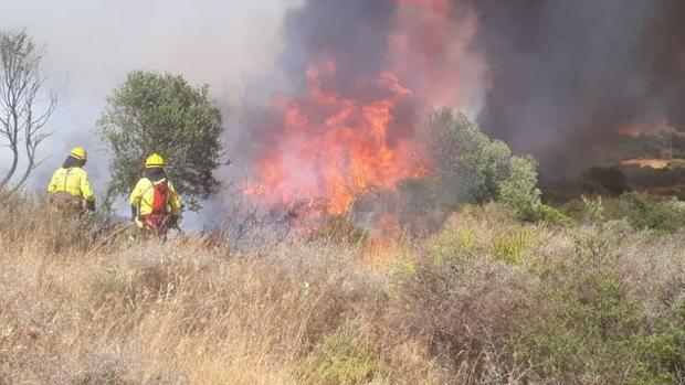 Se declara un incendio forestal en Espinoso del Rey