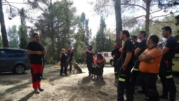 Toledo, a la cabeza de la región en denuncias por desaparición de personas