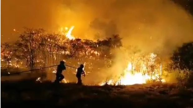 Incendio Gran Canaria: las zonas de Canarias evacuadas