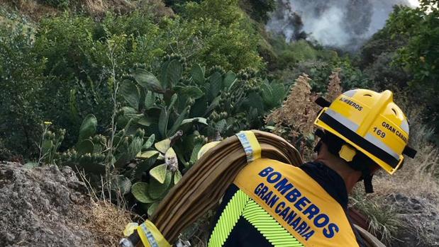 Incendio en Canarias: vídeo en directo