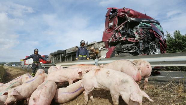 Al menos seis heridos por el choque de un camión y un microbús en la A-62