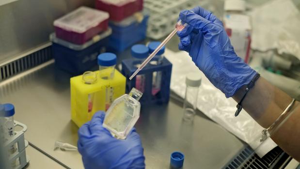 El hospital La Fe de Valencia impulsa un proyecto para que la sociedad decida qué se investiga