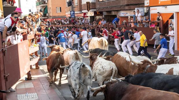 Cuarto encierro de las fiestas de «Sanse»: dos heridos ingresados por traumatismos