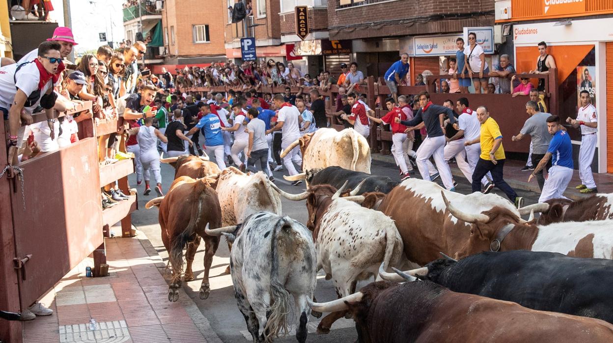 Cuarto encierro de «Sanse»