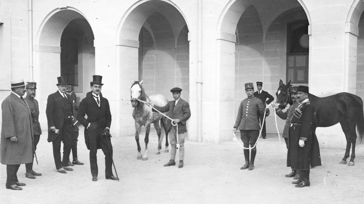 Dos pura sangre árabes regalados a Alfonso XIII en 1916