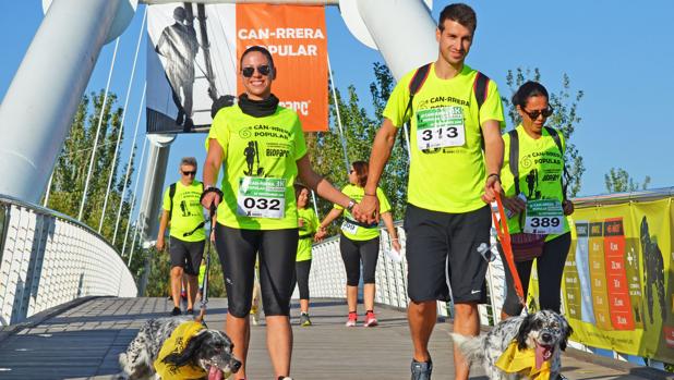 Perros con sus dueños competirán juntos en la original Can-rrera solidaria de Bioparc