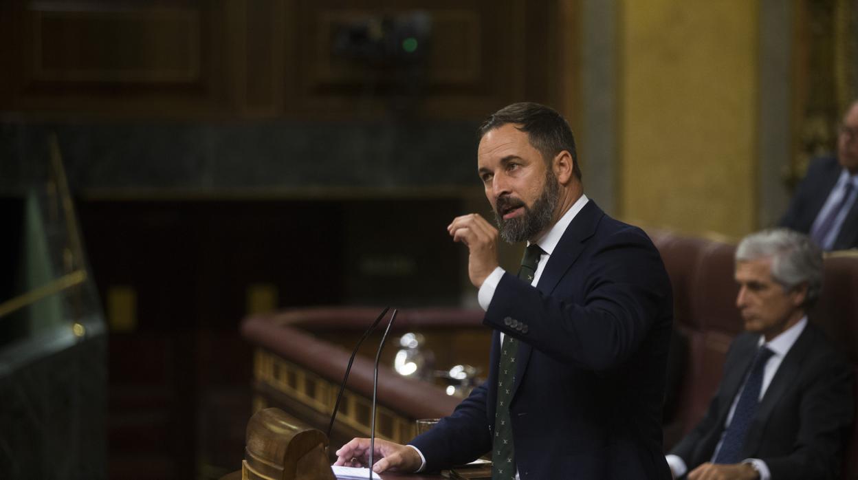 El presidente de Vox, Santiago Abascal, durante su intervención la semana pasada en el Congreso