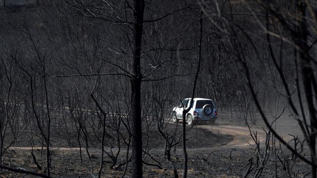 Ola de incendios provocados en Galicia: 1.000 hectáreas quemadas