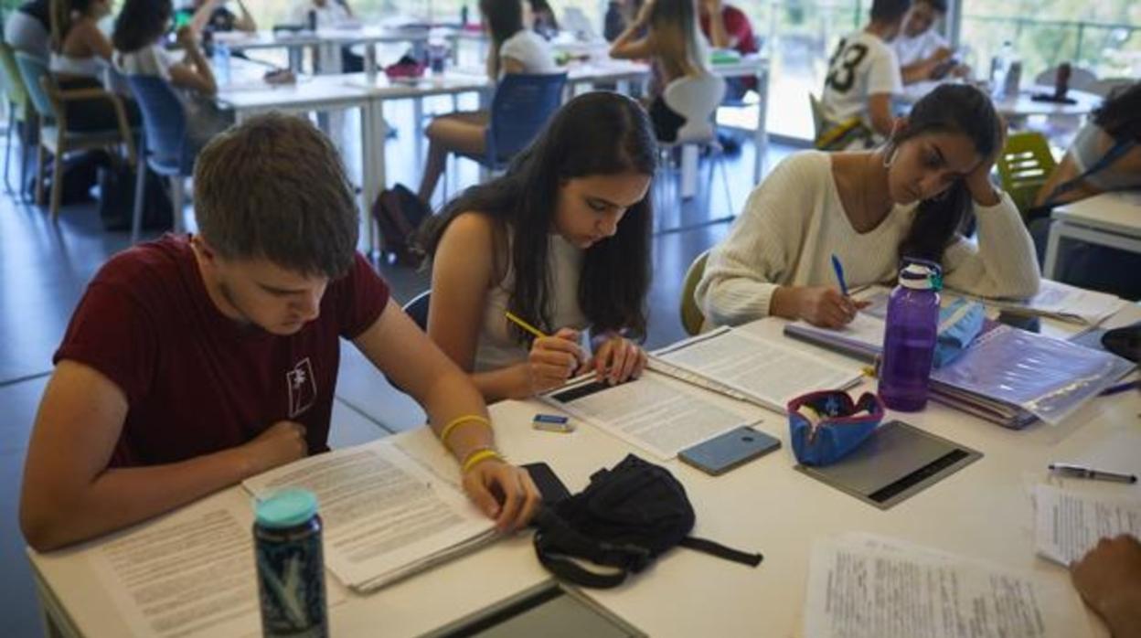 Estudiantes en la biblioteca