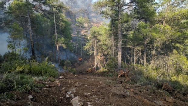 Extinguido el incendio originado el pasado lunes en Monteagudo de las Salinas